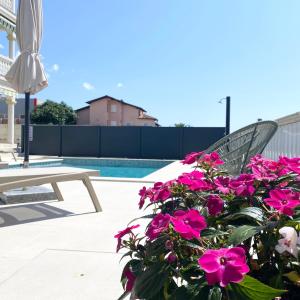 a potted plant with pink flowers next to a pool at Apartment Komljenovic in Pula