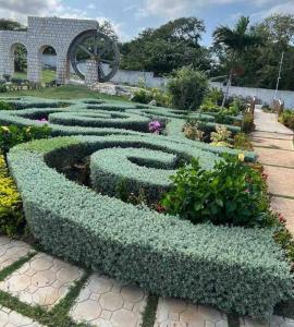 a garden with a maze of plants and flowers at Villa Exclusive in Richmond