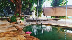 a small pond with a fountain in a yard at Estate - Villa Discovery in Ljubuški