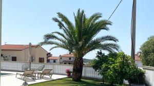 a palm tree in the yard of a house at Apartment Komljenovic in Pula