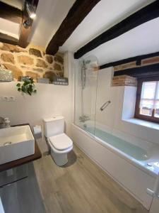 a bathroom with a toilet and a shower and a sink at Casa parejas La casa de Quintanilla 1 in Quintanilla las Torres