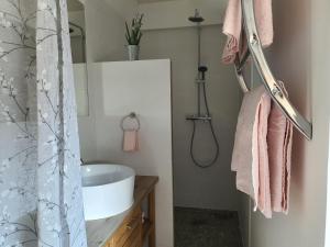 La salle de bains est pourvue d'un lavabo et d'une douche. dans l'établissement Le Domaine Augenaies Maison d hôtes et Spa, 