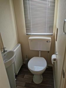 a small bathroom with a toilet and a sink at The mistral golden gate towyn in Kinmel Bay