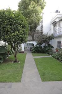 Сад в Hotel Casa Gonzalez