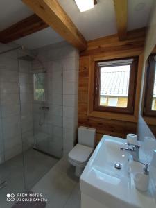 a bathroom with a toilet and a shower and a sink at Dom z bala w sercu Podlasia in Białystok +14 photos