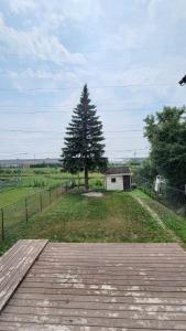 un árbol en medio de un campo con una valla en Vacation House central location from anywhere in Montreal, en Laval