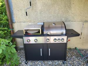 a grill sitting on a table in a garden at FEWO Peter und Britta in Thal