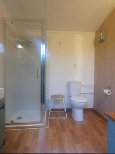 a bathroom with a shower and a toilet and a table at Snug & Secluded Lakeside Shepherds Hut 'Carp' in Uckfield