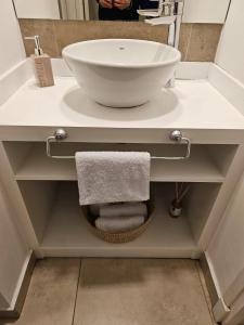 La salle de bains est pourvue d'un lavabo et de serviettes sur une étagère. dans l'établissement Dpto La Tacuara, à Luján de Cuyo