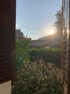 a view from a window of a garden with the sunset at Dragana in Petrovac na Moru