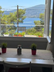 una mesa con dos macetas sentadas en un alféizar de la ventana en SERENITY yard apartment en Poros