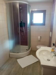 a bathroom with a shower and a sink at Studio apartman Bel Vedere in Motovun