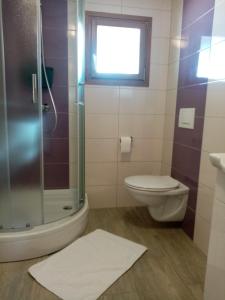 a bathroom with a shower and a toilet and a window at Studio apartman Bel Vedere in Motovun