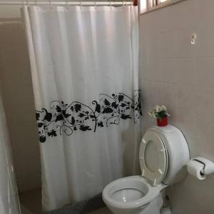 y baño con aseo y cortina de ducha. en Casa en Los Reyunos, Ubicación perfecta Frente al lago en San Rafael