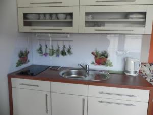 Kuchyň nebo kuchyňský kout v ubytování Apartments Vesna