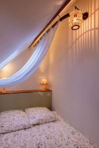 a bedroom with a bed with a canopy and a light at Manoir d'Egrefin in Saint-Martin-dʼAbbat