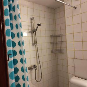 uma casa de banho com chuveiro e cortina de chuveiro em Eleny home em Burgas