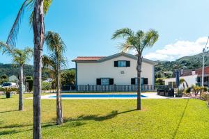 a villa with a swimming pool and palm trees at Casa Malheiro in Ponte de Lima
