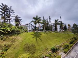 une colline herbeuse avec un bâtiment et des palmiers dans l'établissement A One Holiday Apartment - PRO, à Tanah Rata