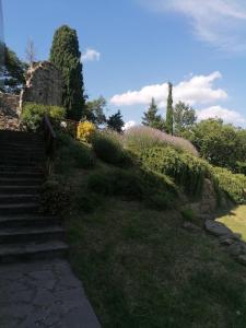 a set of stairs leading up to a garden at Agriturismo Badia Ficarolo in Palazzo del Pero
