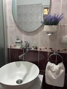 Koupelna v ubytování Apartman Teodora