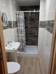 a bathroom with a shower and a toilet and a sink at Agroturystyka u Chlebków in Ochotnica Górna +67 photos