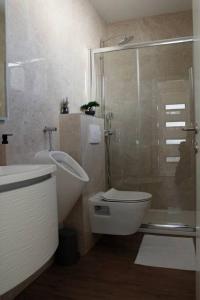 W łazience znajduje się toaleta i przeszklony prysznic. w obiekcie Apartman Karmen w mieście Brodarica