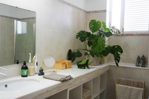 een badkamer met een wastafel, een spiegel en een plant bij Casa Veiga in Colares