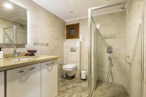 a bathroom with a shower and a toilet and a sink at Modern and Central Flat in Nisantasi in Istanbul