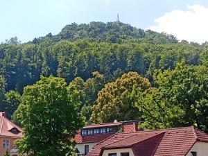 Nespecifikovaný výhled na hory nebo výhled na hory při pohledu z apartmánu