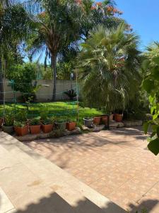 a patio with palm trees and plants in a park at המקום של ענת. Anat's place in Tel ‘Adashim