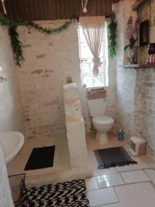 a bathroom with a toilet and a window at Koringberg siding cottage in Koringberg