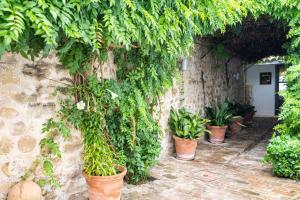 Jardín al aire libre en YIT La Casona del Arco