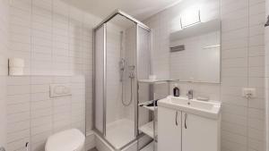 een badkamer met een douche, een toilet en een wastafel bij Spacious studio in a quiet area of Sierre in Sierre