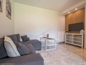 ein Wohnzimmer mit einem Sofa und einem TV in der Unterkunft Apartamenty Cichy Zakątek in Kudowa-Zdrój