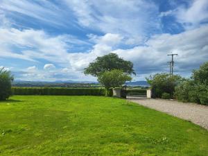 a green field with a tree in the middle at Castleview in Milltown