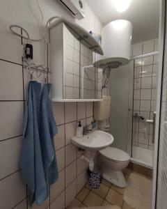 La petite salle de bains est pourvue de toilettes et d'un lavabo. dans l'établissement Aretha apartman i sobe, à Novi Vinodolski