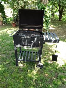a barbecue grill sitting on the grass in a park at István Apartman in Tiszafüred