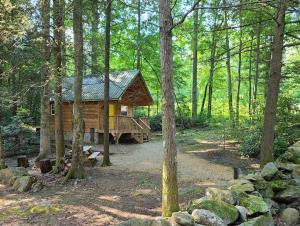 a log cabin in the middle of a forest at Holly Nest a Cozy Cabin Getaway near Gatlinburg in Cosby