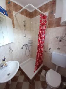 uma casa de banho com um chuveiro, um lavatório e um WC. em Apartments Belvedere - A2 em Necujam