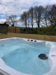 a large bath tub filled with blue water at Drumlanrig Cottage in Thornhill