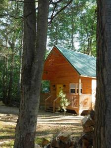 een houten hut in het bos met een boom bij Laurel Haven a Modern Cabin Retreat near Gatlinburg in Cosby