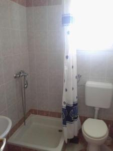 La salle de bains est pourvue de toilettes et d'un rideau de douche. dans l'établissement Apartments Belvedere - A3, à Nečujam