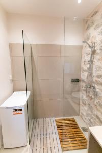 a shower with a glass door in a bathroom at Ydor apartment in Hydra