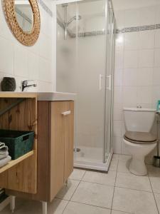a bathroom with a shower and a toilet and a sink at studio cosy plein coeur de ville in Gap