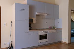 Kuchyň nebo kuchyňský kout v ubytování BurgenLandhaus