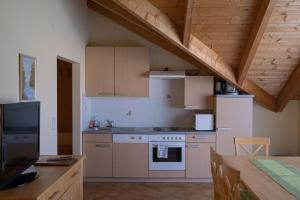 Kuchyň nebo kuchyňský kout v ubytování BurgenLandhaus