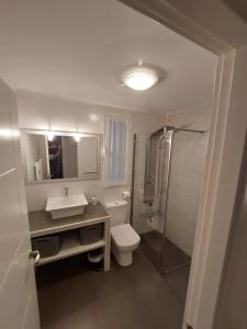 La salle de bains est pourvue de toilettes, d'un lavabo et d'une douche. dans l'établissement Home Sweet Home Pamplona Hospitales-Universidad, à Barañáin