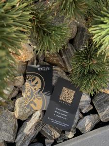 two cards sitting on a pile of rocks with plants at Budz Карпати in Bukovel