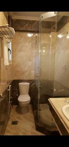 a bathroom with a toilet and a shower and a sink at Salvatore Room with Breakfast-Ras El Bar in Ras El Bar
